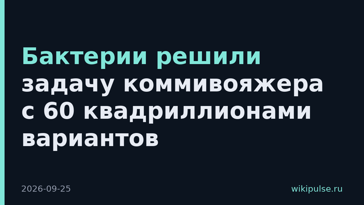 Бактерии решили задачу коммивояжера с 60 квадриллионами вариантов
