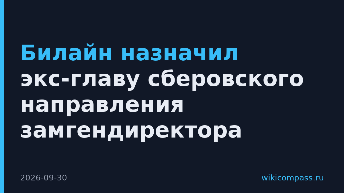 Билайн назначил экс-главу сберовского направления замгендиректора