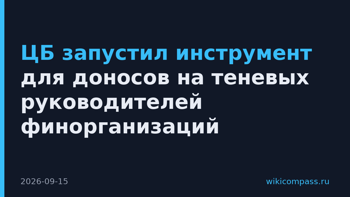 ЦБ запустил инструмент для доносов на теневых руководителей финорганизаций