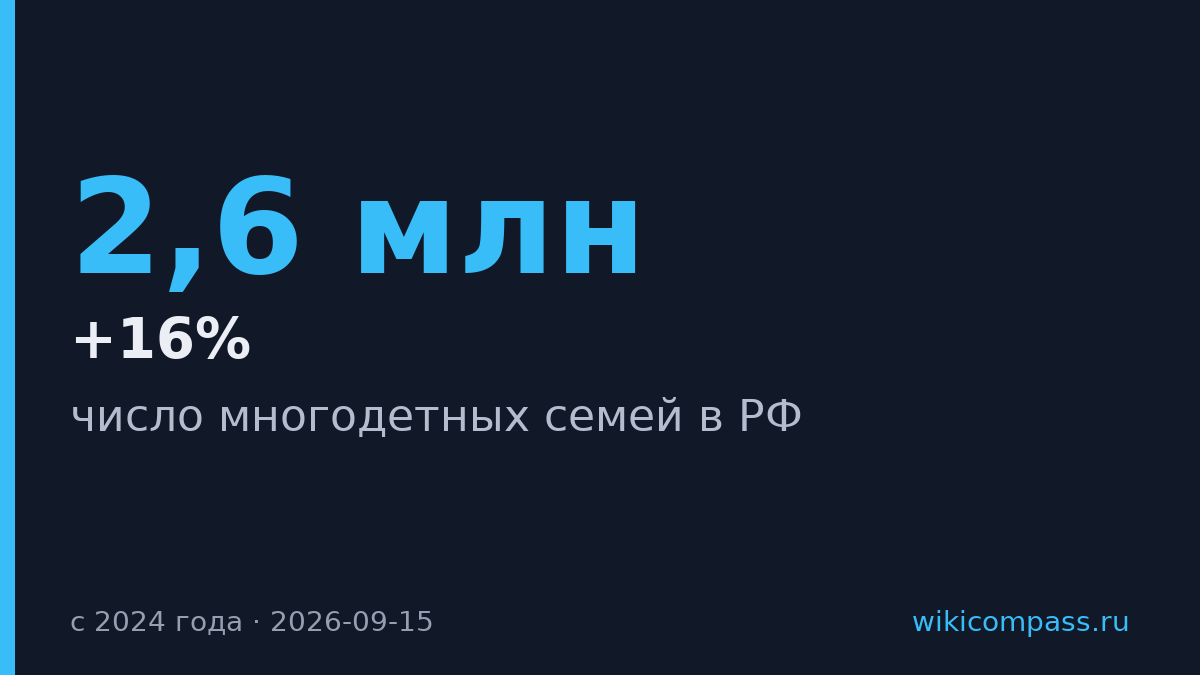 Число многодетных семей в России выросло на 16% с 2024 года