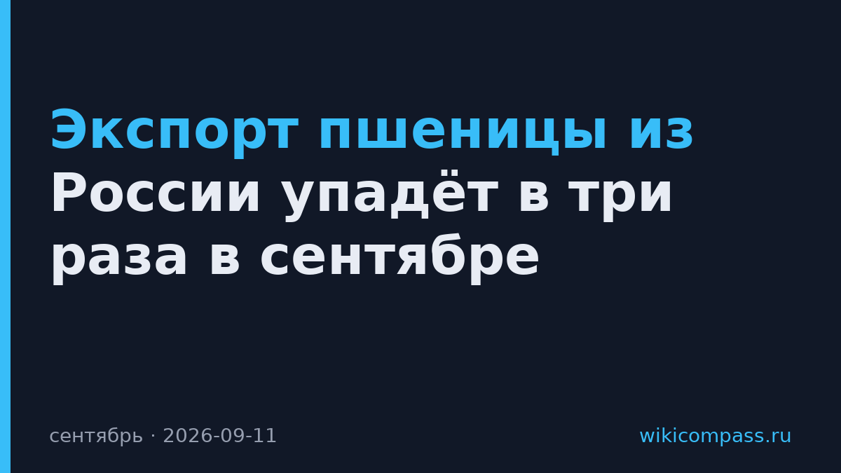 Экспорт пшеницы из России упадёт в три раза в сентябре
