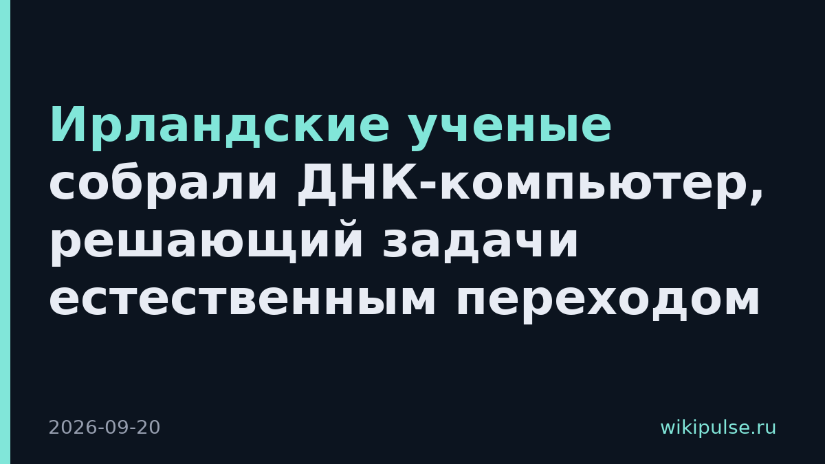 Ирландские ученые собрали ДНК-компьютер, решающий задачи естественным переходом