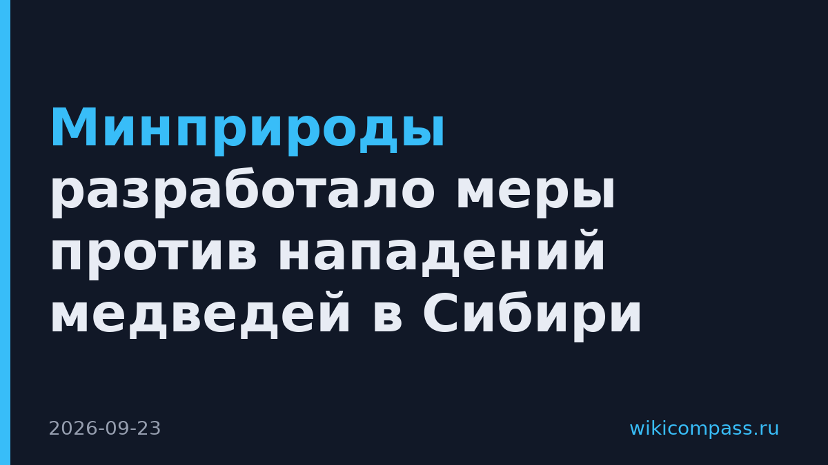 Минприроды разработало меры против нападений медведей в Сибири