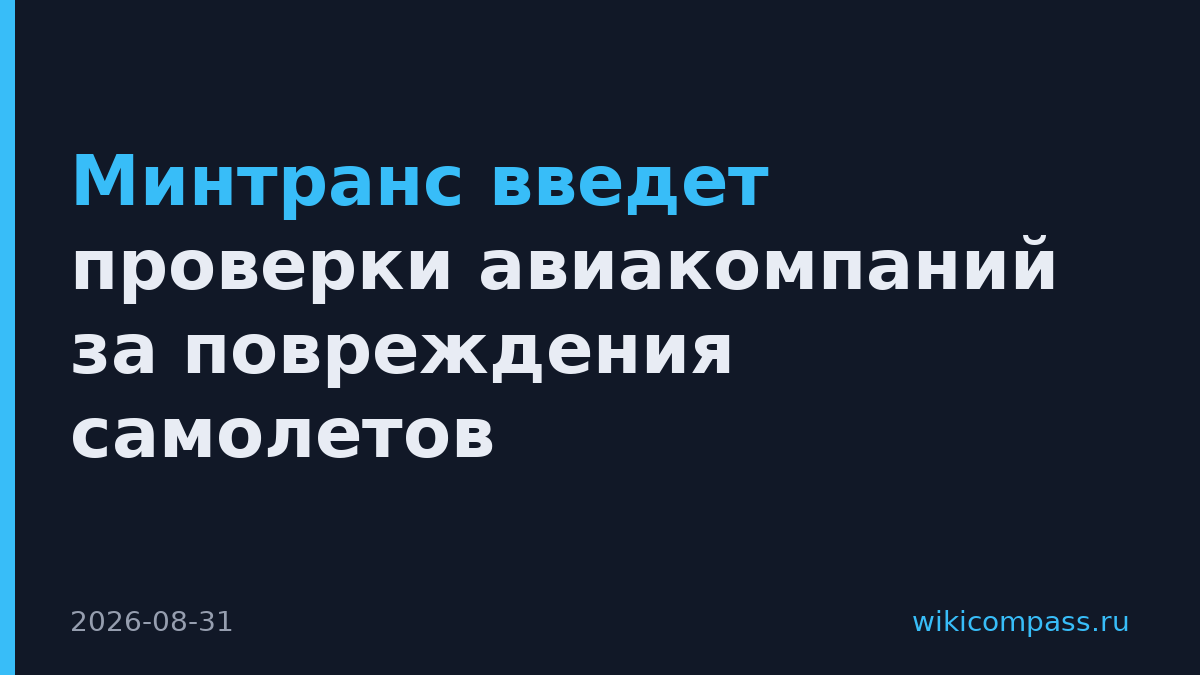 Минтранс введет проверки авиакомпаний за повреждения самолетов