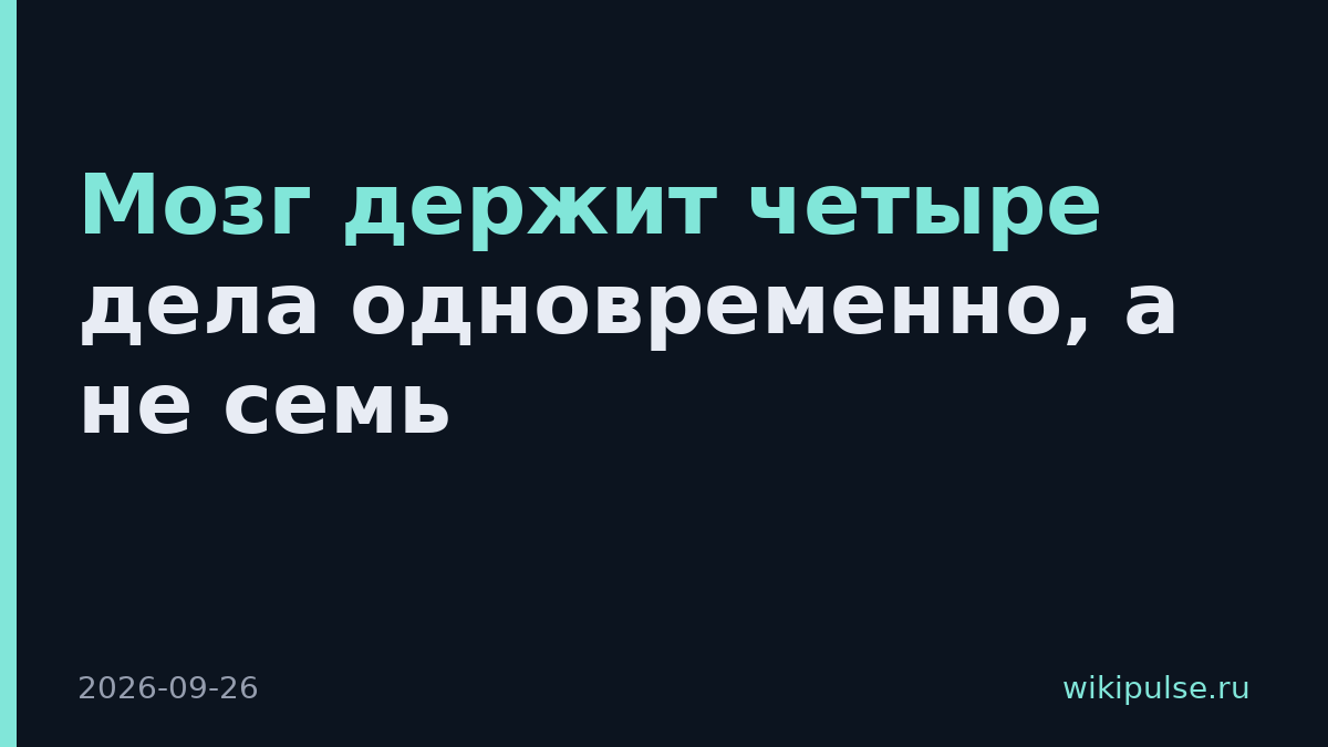 Мозг держит четыре дела одновременно, а не семь