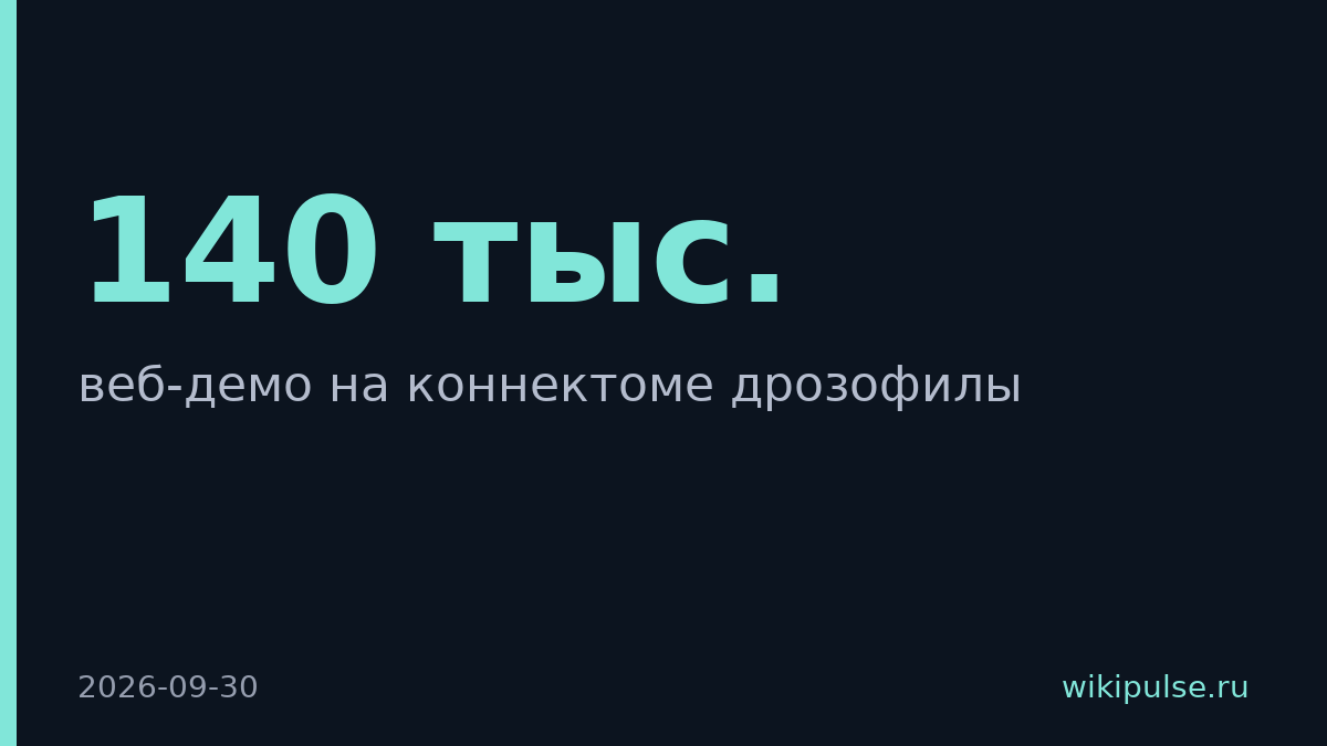 MWS запустила веб-демо для приоритизации задач на основе коннектома дрозофилы