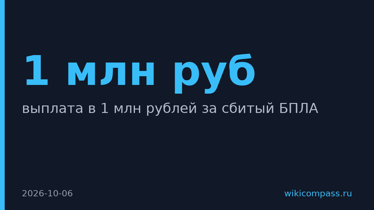 На Ямале ввели выплату в 1 млн рублей за сбитый БПЛА