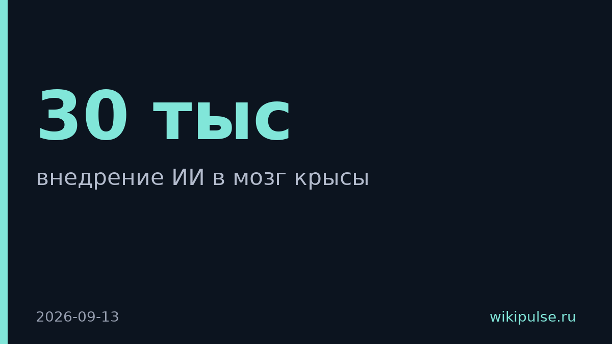 Neiry вживила ИИ в мозг крысе, и та решает задачи по физике