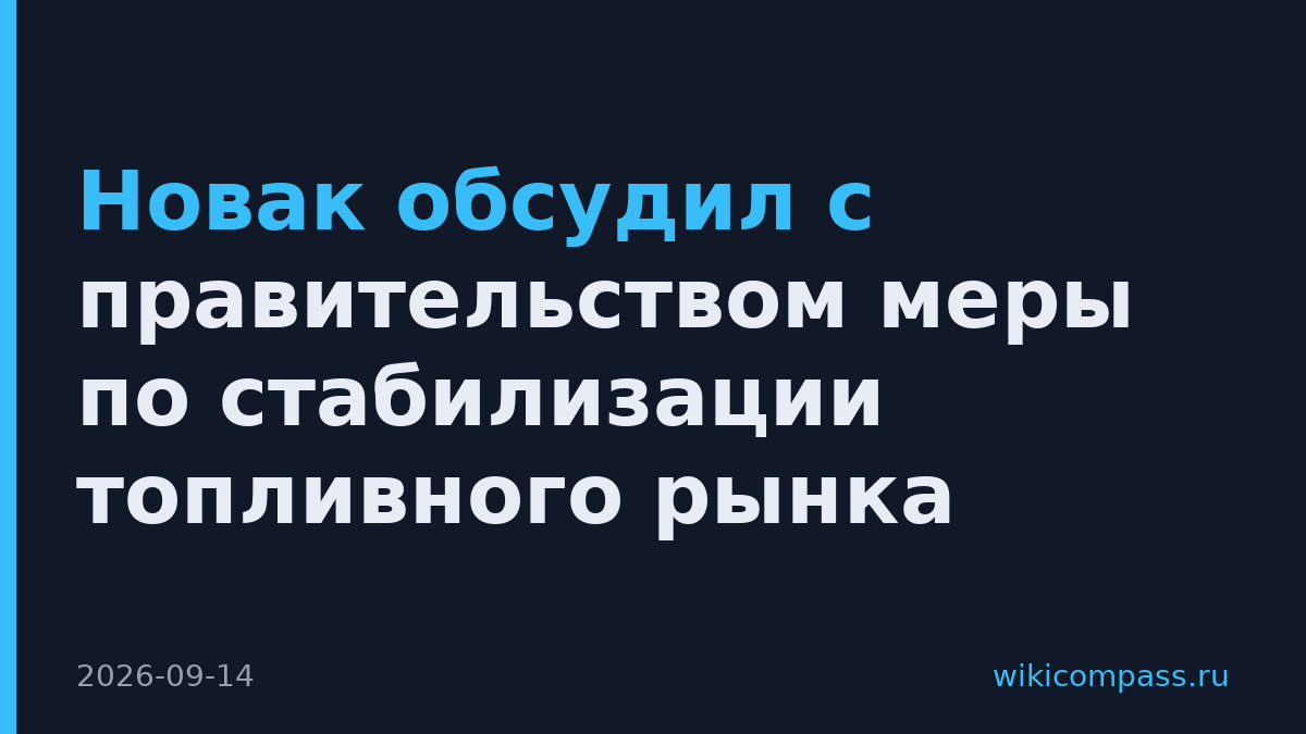 Новак обсудил с правительством меры по стабилизации топливного рынка