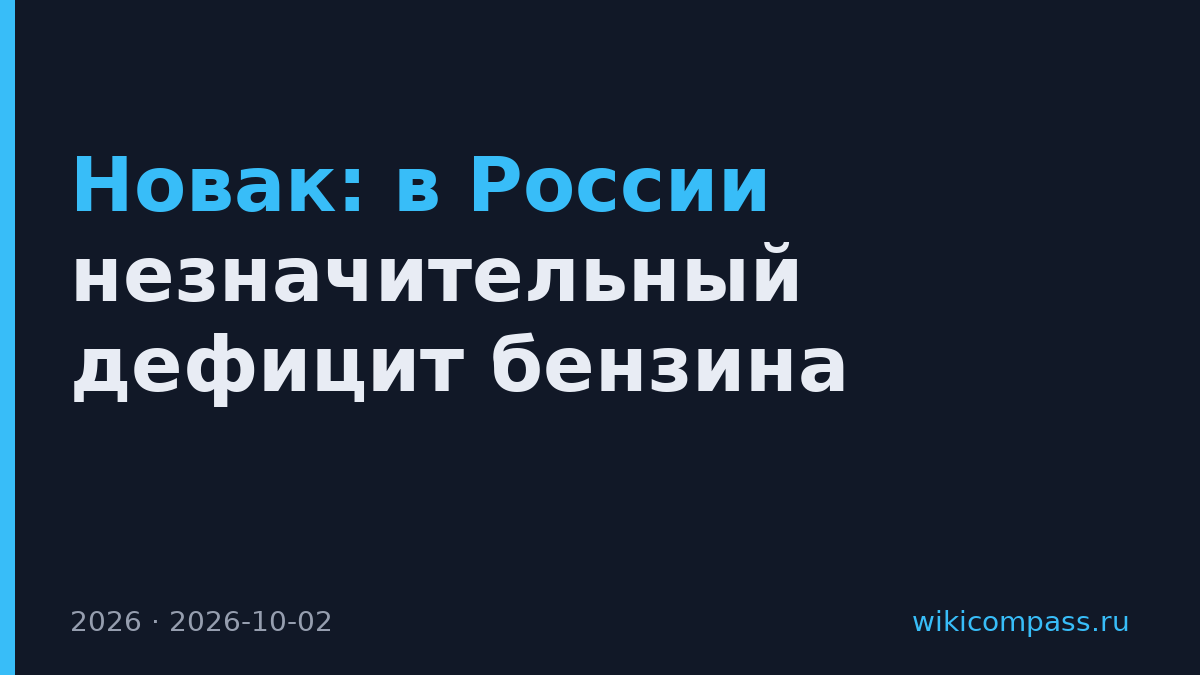 Новак: в России незначительный дефицит бензина