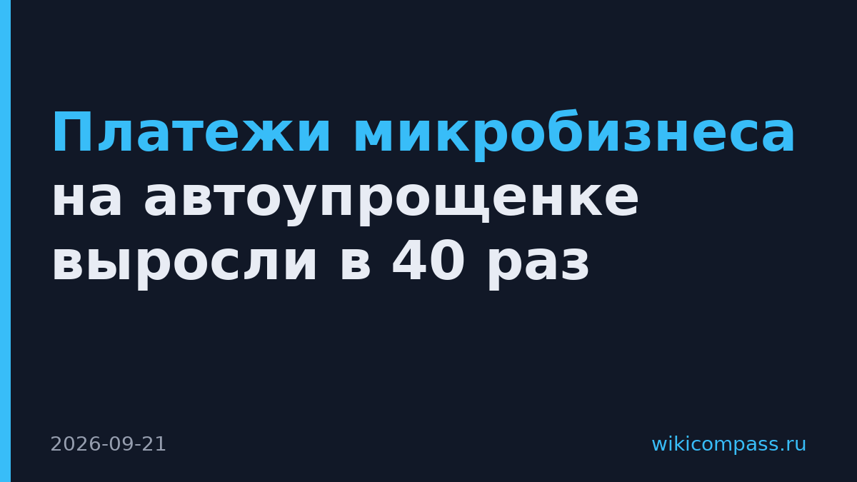 Платежи микробизнеса на автоупрощенке выросли в 40 раз