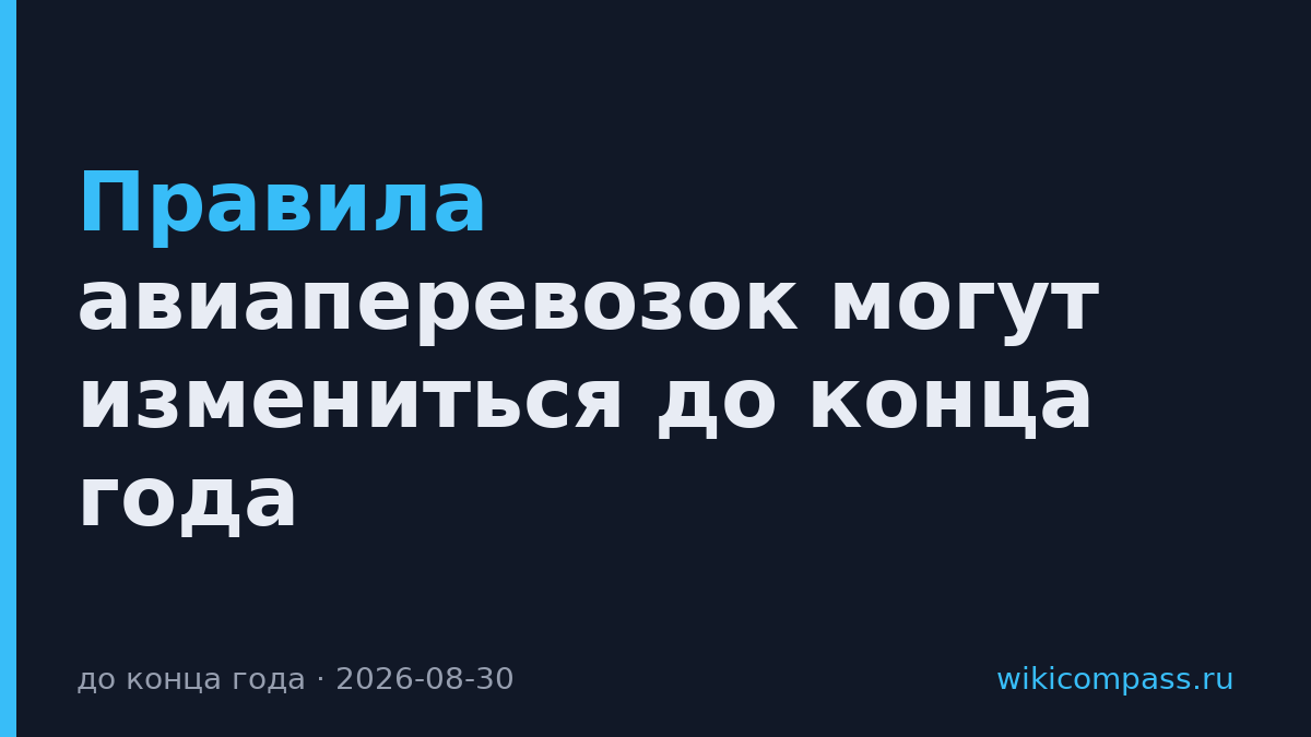 Правила авиаперевозок могут измениться до конца года