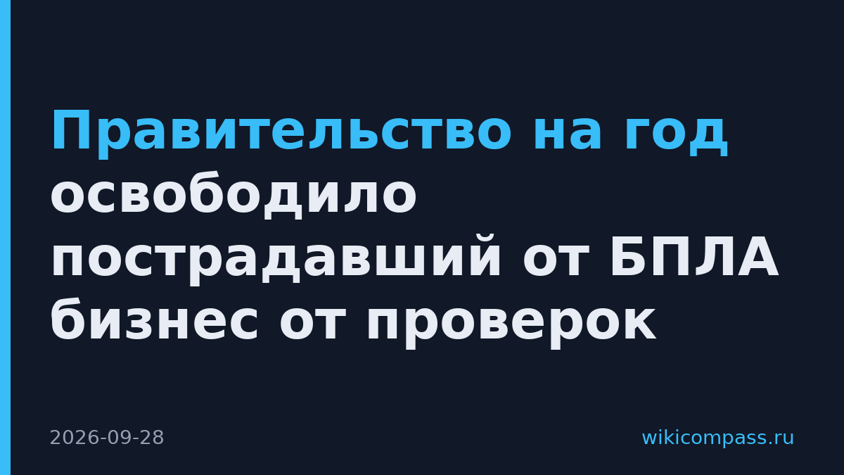 Правительство на год освободило пострадавший от БПЛА бизнес от проверок