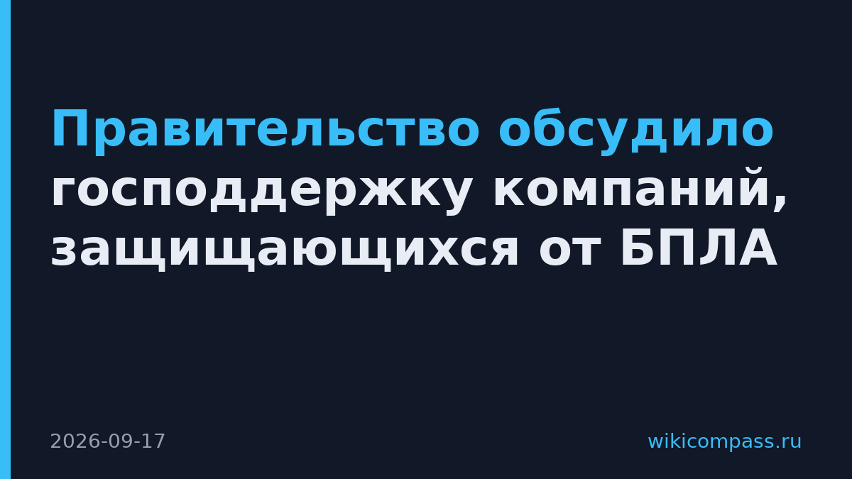 Правительство обсудило господдержку компаний, защищающихся от БПЛА