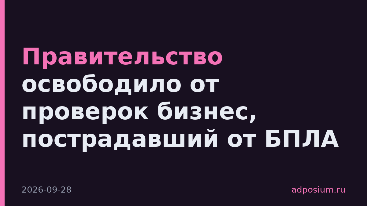Правительство освободило от проверок бизнес, пострадавший от БПЛА