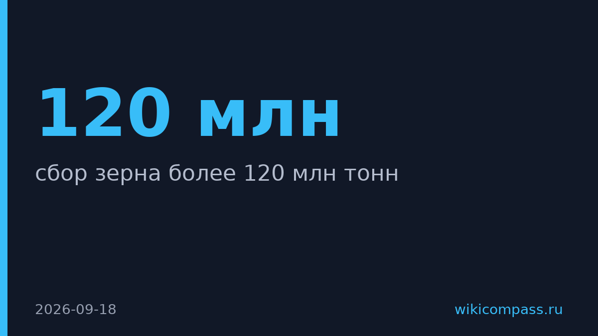Россия собрала более 120 млн тонн зерна