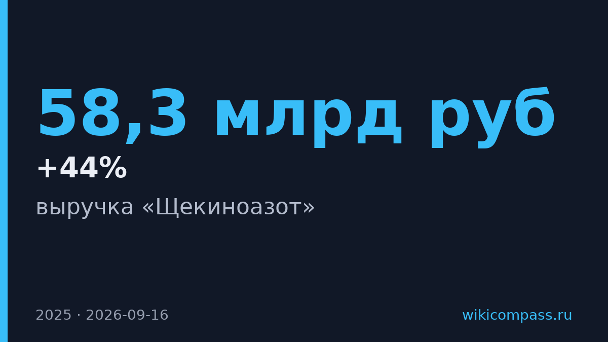 Выручка «Щекиноазота» выросла на 44% до 58,3 млрд рублей