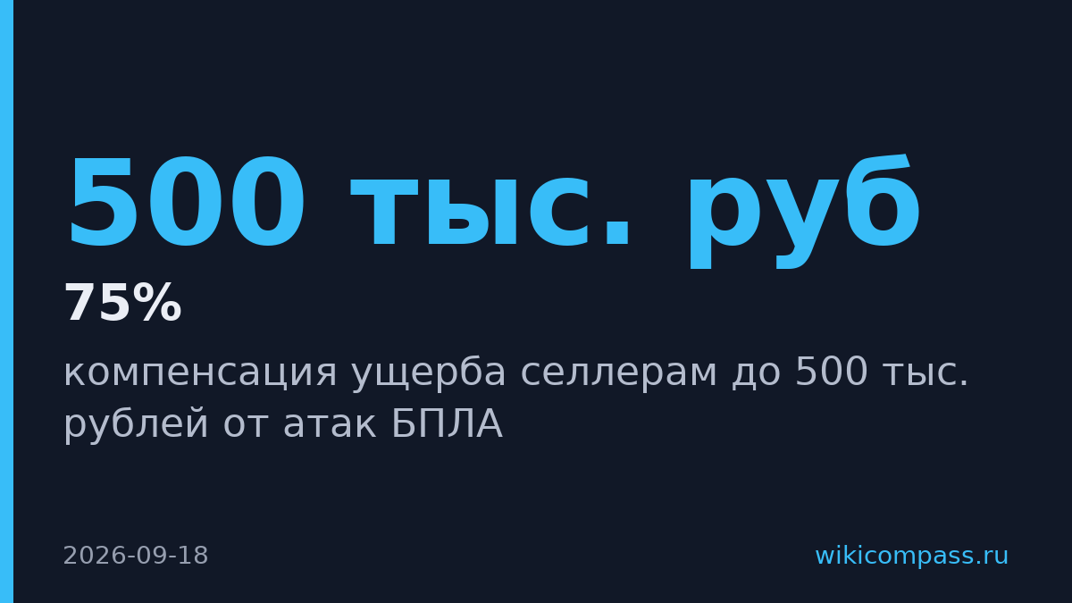 Wildberries компенсирует селлерам убытки от дронов до 500 тыс. рублей