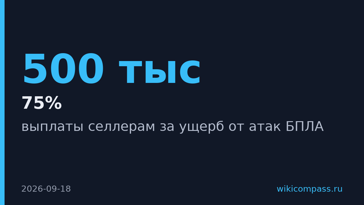 Wildberries выплатит селлерам до 500 тысяч рублей за ущерб от БПЛА