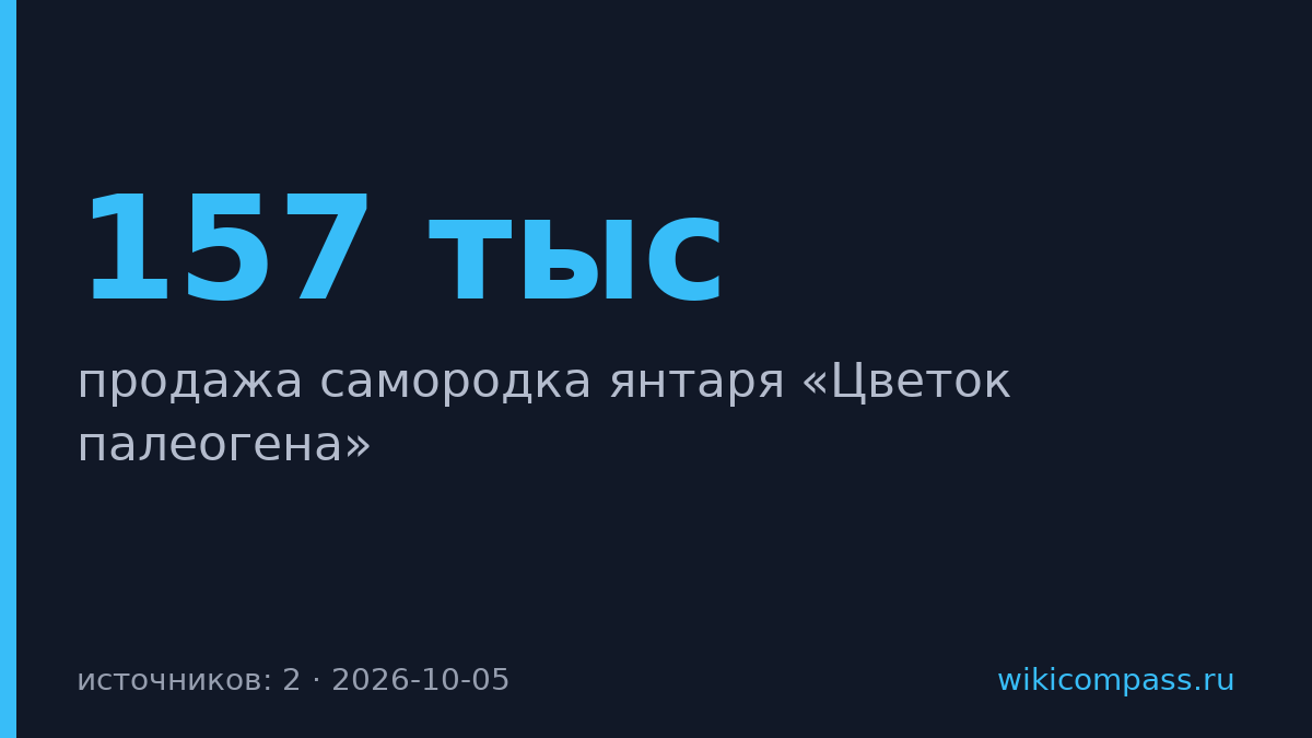 Янтарь «Цветок палеогена» продан за 157 тысяч рублей